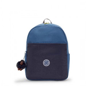 Kipling Haydar 15" Laptop Backpack Blue | BTWFU8216