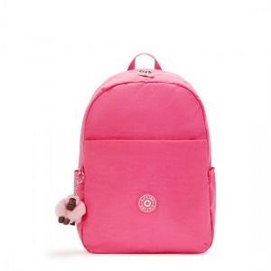 Kipling Haydar 15" Laptop Backpack Pink | QAWRO0269