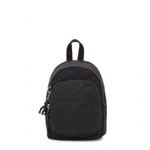 Kipling New Delia Compact Backpack Black | OQDUJ1763