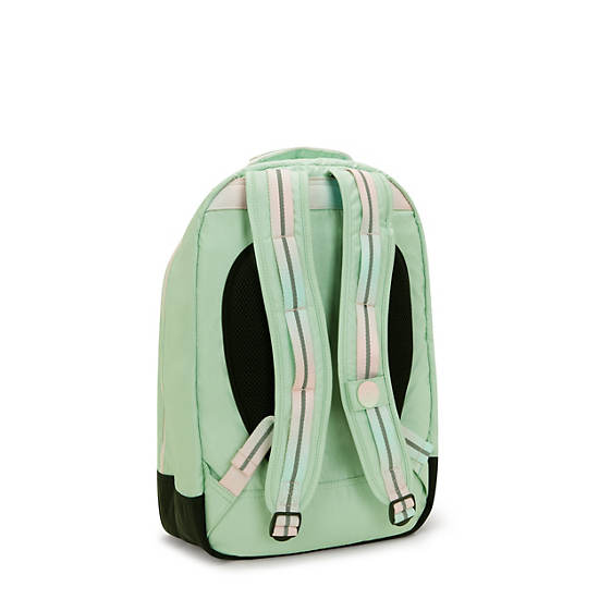 Kipling Class Room Metallic 17