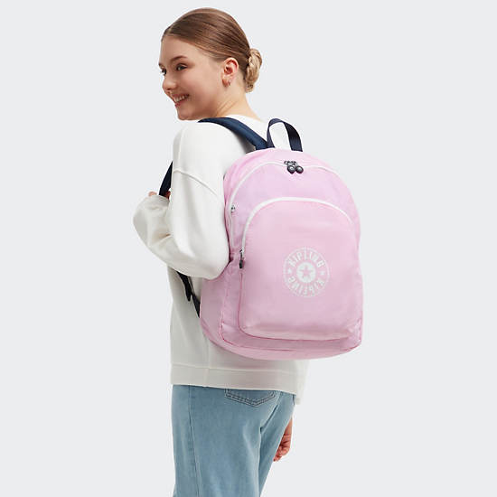 Kipling Curtis Large 17