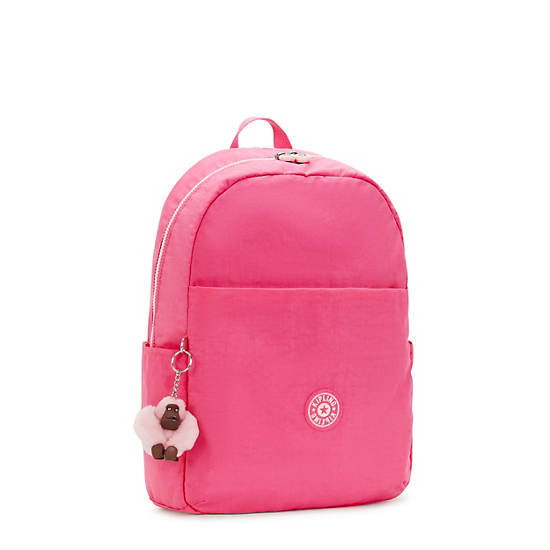 Kipling Haydar 15